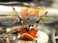 Уменьшенная копия