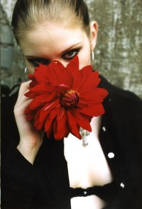 Уменьшенная копия