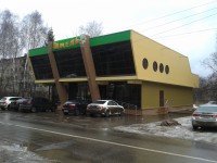 Уменьшенная копия