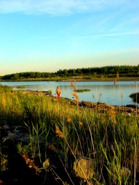 Уменьшенная копия