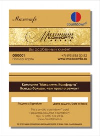 Уменьшенная копия