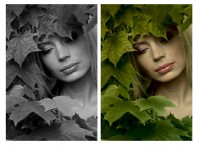 Уменьшенная копия