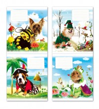 Уменьшенная копия