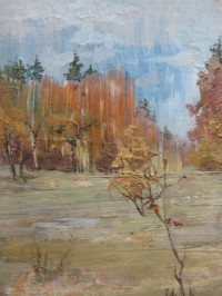 Уменьшенная копия