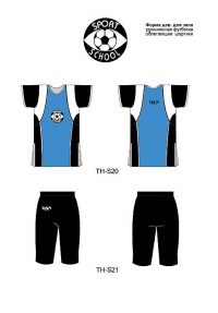 Уменьшенная копия