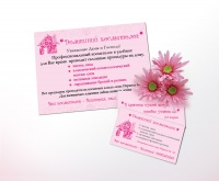 Уменьшенная копия