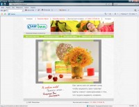 Уменьшенная копия