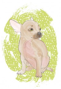 Уменьшенная копия