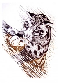 Уменьшенная копия