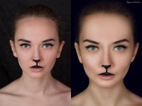 Уменьшенная копия