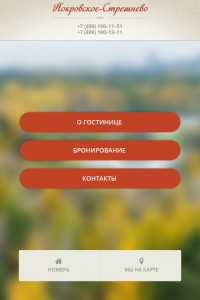 Уменьшенная копия