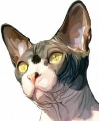 Уменьшенная копия