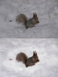 Уменьшенная копия