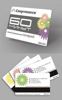 Уменьшенная копия