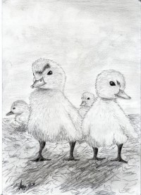 Уменьшенная копия