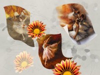 Уменьшенная копия