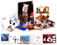 Уменьшенная копия