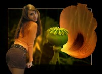 Уменьшенная копия