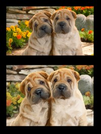 Уменьшенная копия