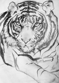 Уменьшенная копия