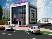 Уменьшенная копия