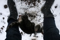 Уменьшенная копия