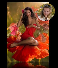 Уменьшенная копия