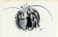 Уменьшенная копия