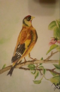 Уменьшенная копия