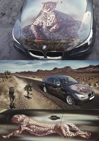 Уменьшенная копия