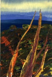 Уменьшенная копия