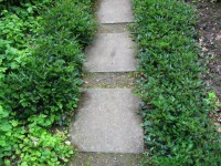 Уменьшенная копия