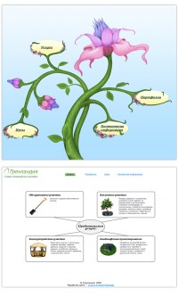 Уменьшенная копия