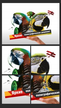 Уменьшенная копия