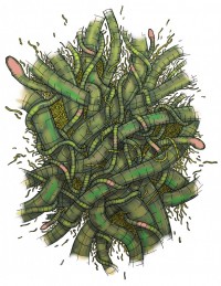 Уменьшенная копия