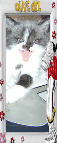 Уменьшенная копия