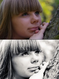 Уменьшенная копия