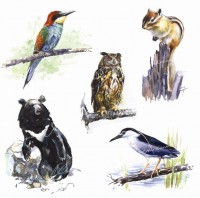 Уменьшенная копия