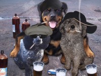 Уменьшенная копия