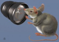 Уменьшенная копия