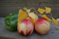 Уменьшенная копия