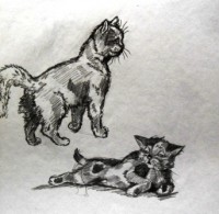 Уменьшенная копия