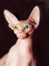 Уменьшенная копия