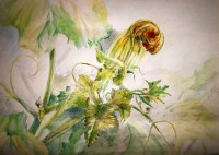 Уменьшенная копия