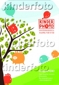 Уменьшенная копия