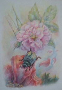 Уменьшенная копия