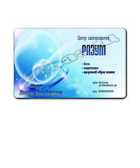 Уменьшенная копия