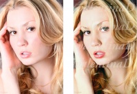 Уменьшенная копия