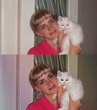 Уменьшенная копия