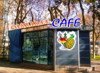 Уменьшенная копия